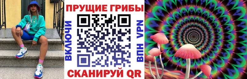 Галлюциногенные грибы мицелий  Купить  Ростов-на-Дону 